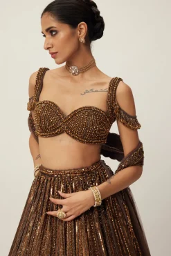 Copper Crystal Linear Embroidered Lehenga Set