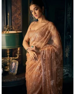 Copper Sequin Sari Set