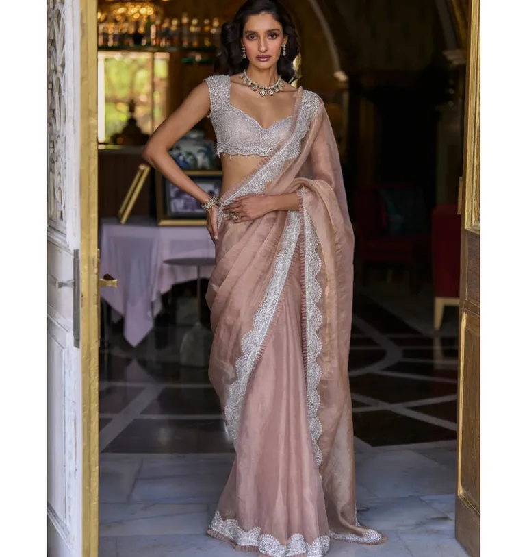 Copper Tissue Organza Sari