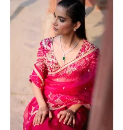 Cranberry Organza Sari Set