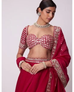Crimson Red Organza Hand Embroidered Lehenga Set