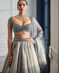 Crystal Grey Sequins Scattered Organza Lehenga Set