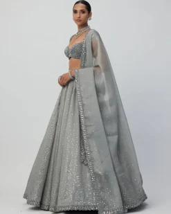 Crystal Grey Sequins Scattered Organza Lehenga Set