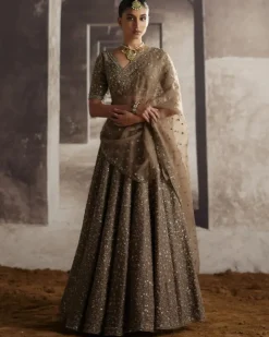 Cutdana & Sequin Jaal Lehenga