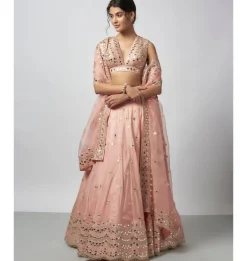 Daksha Lehenga Set