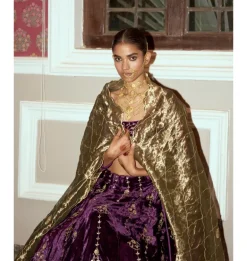 Deep Purple Embroidered Velvet Lehenga Set