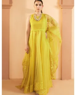 Dina Anarkali Set