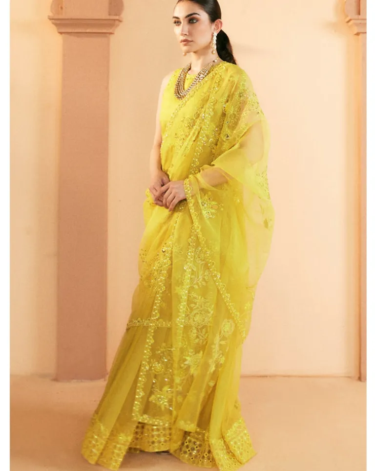 Dina Anarkali Set