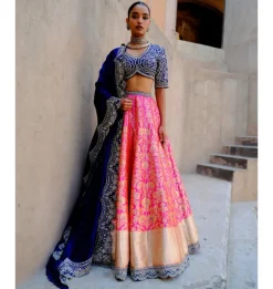 Divisha Banarasi Lehenga Set