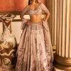 Dulect Lehenga Set