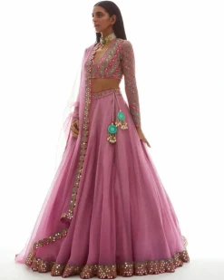 Dull Pink Applique Organza Lehenga Set