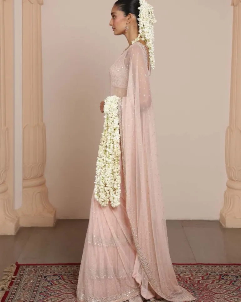 Dust Pink Mirror And Sequin Sari Set