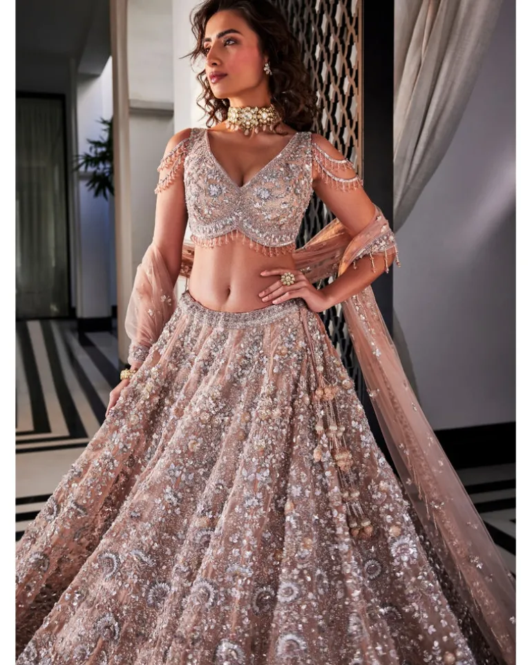 Dusty Brown Embroidered Lehenga Set