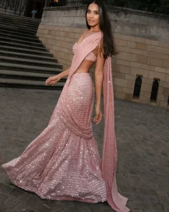Dusty Pink Embellished Sari Set