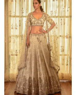 Ellie Georgette Chikankari Lehenga With Tilla Work