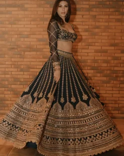 Elnaaz Lehenga Set