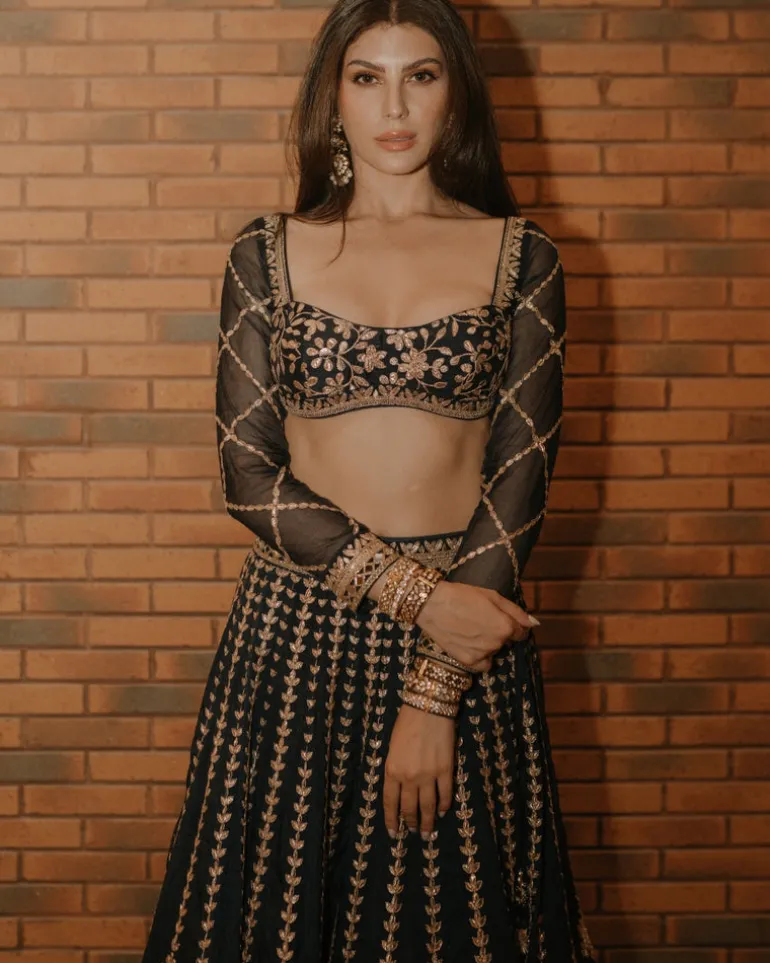 Elnaaz Lehenga Set