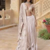 Embroidered Blouse with Silver Tissue Skirt Set