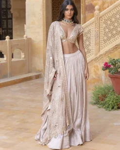 Embroidered Blouse with Silver Tissue Skirt Set