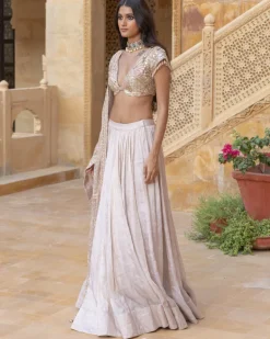 Embroidered Blouse with Silver Tissue Skirt Set