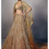Emma Shimmer Tulle Bridal Lehenga & Cape Set