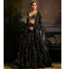 Enchanted Evergreen Lehenga Set