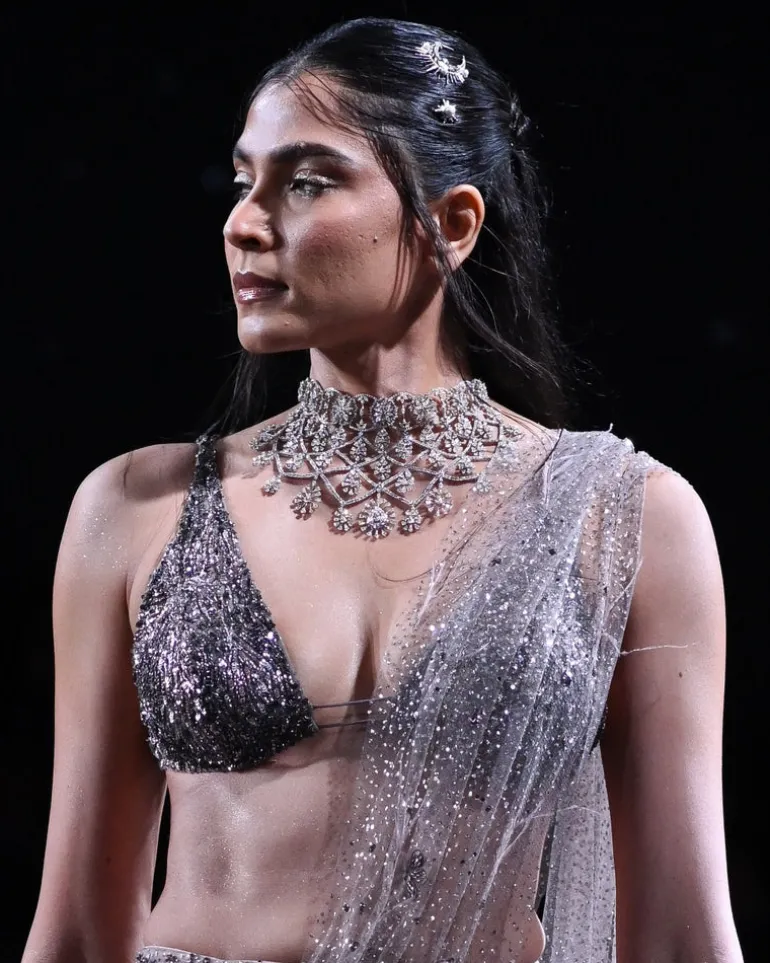 Eres Lehenga Sari Set