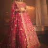 Faiza Lehenga Set