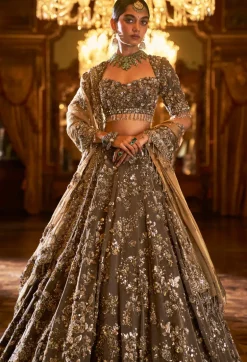 Falaknuma Antique Brown Tissue Lehenga Set