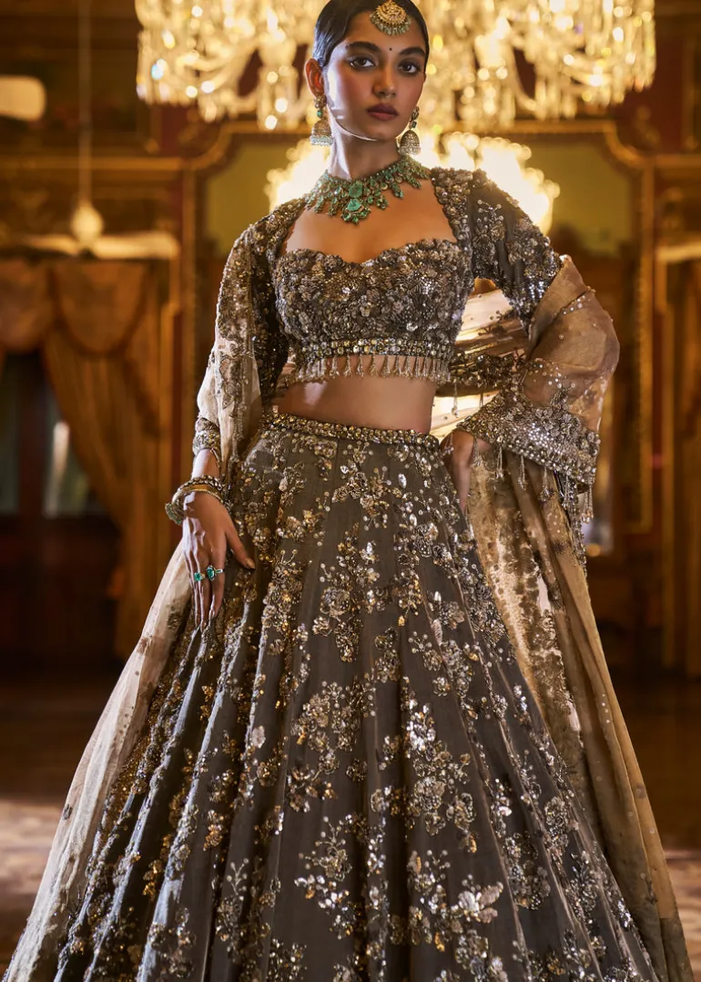 Falaknuma Antique Brown Tissue Lehenga Set