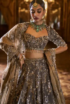 Falaknuma Antique Brown Tissue Lehenga Set