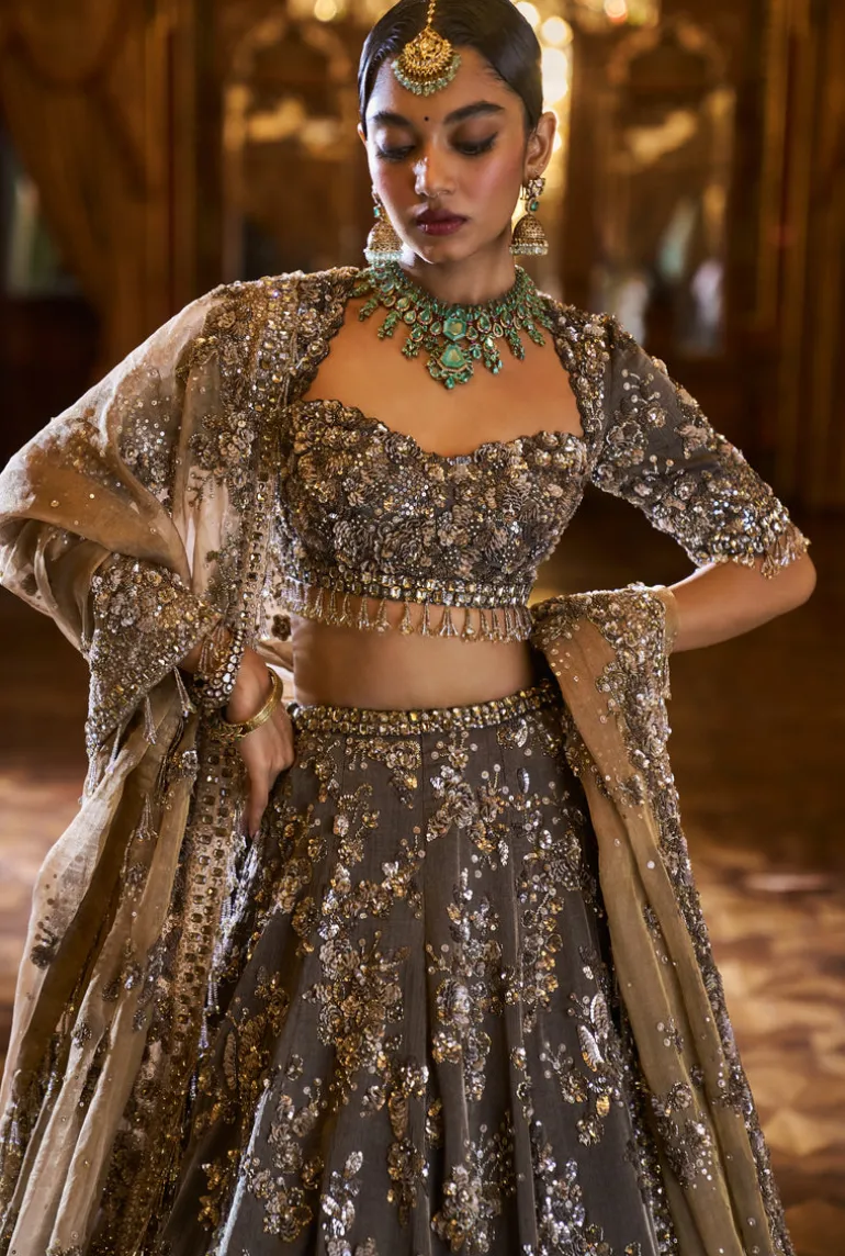 Falaknuma Antique Brown Tissue Lehenga Set