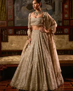Falaknuma Gold Silver Tissue Lehenga Set