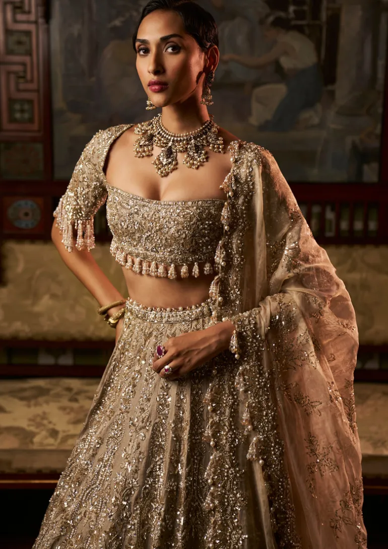 Falaknuma Gold Silver Tissue Lehenga Set