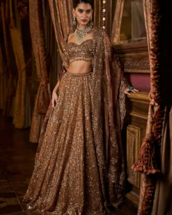 Falaknuma Mustard Tissue Lehenga Set
