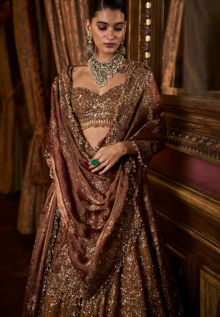 Falaknuma Mustard Tissue Lehenga Set