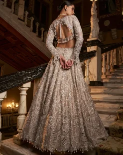 Falaknuma Nude Silver Cutwork Lehenga Set