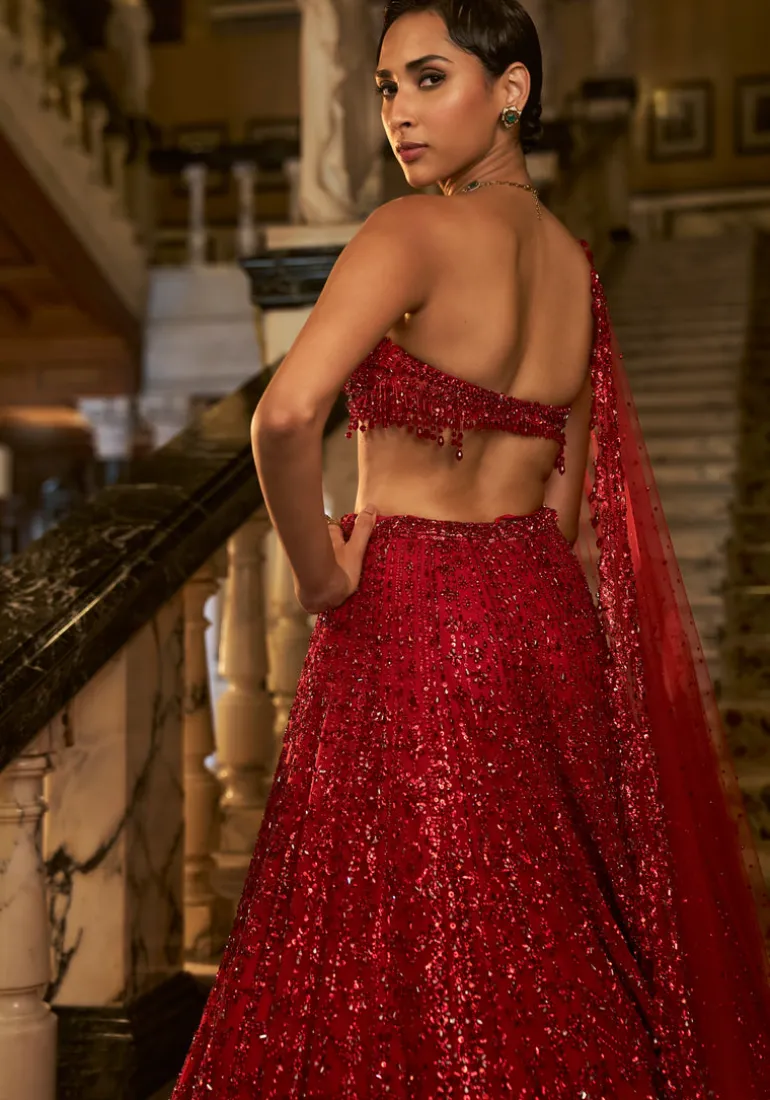 Falaknuma Red Crystal Lehenga Set