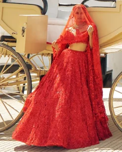 Falaknuma Red Three-dimensional Floral Lehenga Set