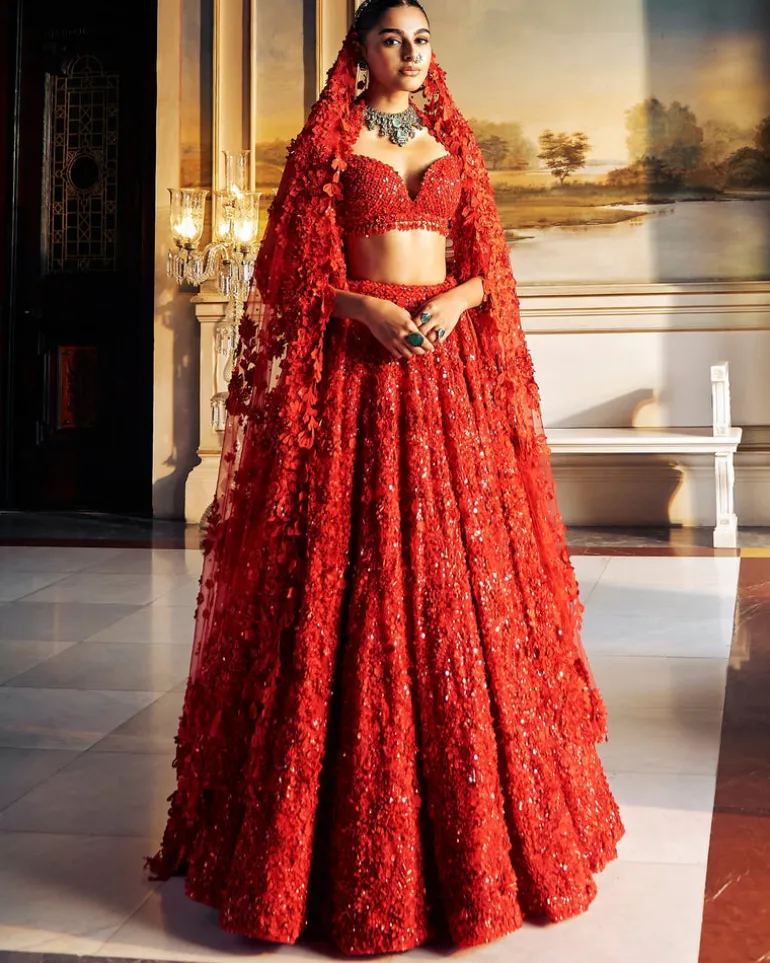 Falaknuma Red Three-dimensional Floral Lehenga Set