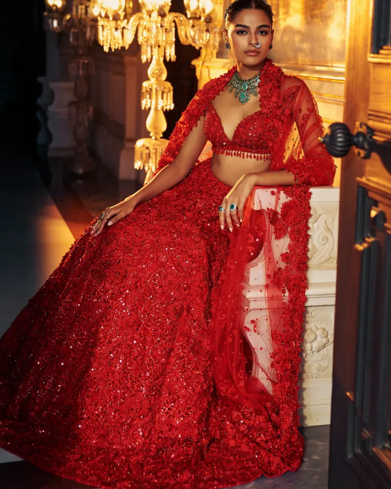Falaknuma Red Three-dimensional Floral Lehenga Set