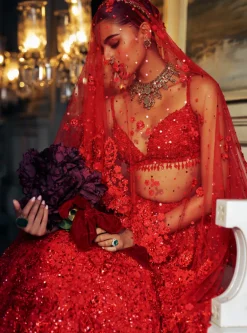 Falaknuma Red Three-dimensional Floral Lehenga Set