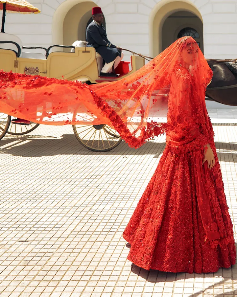 Falaknuma Red Three-dimensional Floral Lehenga Set