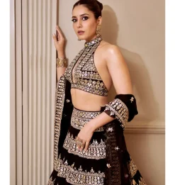 Farheen Lehenga Set