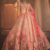 Frosty Lehenga Set
