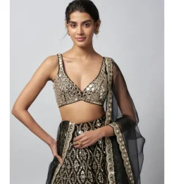 Ganishka Lehenga Set