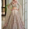 Gianna Pearl Muted Pink Shimmer Tulle Bridal Lehenga Set