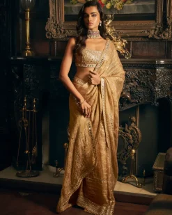 Gold Mirror work Sari Set