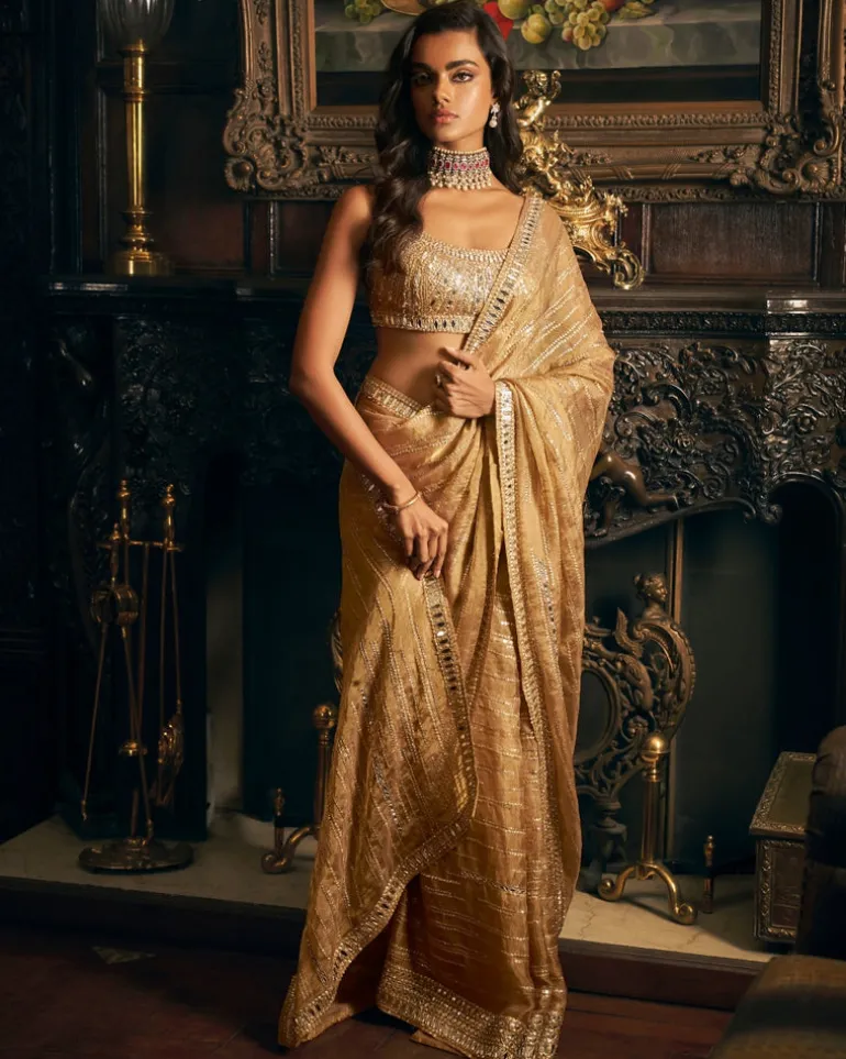 Gold Mirror work Sari Set