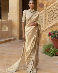 Gold Tissue & Georgette Sari Set